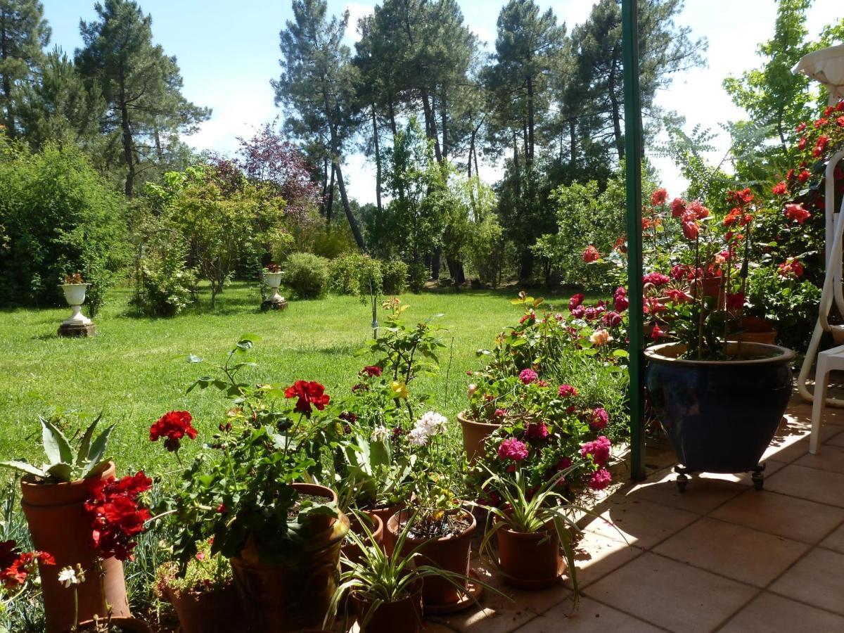 Domaine Du Planas - Patio Villa Ailhon Eksteriør billede